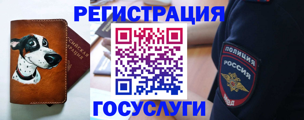 временная регистрация в квартире в Заполярном